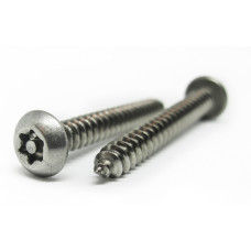 Саморез по металлу нержавеющий с полукруглой головкой антивандальный DIN 7981+TORX+PIN М4.2х38 А2
