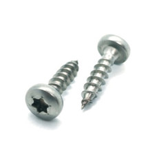 Шуруп по дереву нержавеющий с полукруглой головкой DIN 9110, ART 9048 М3,5x30 А2 TX10