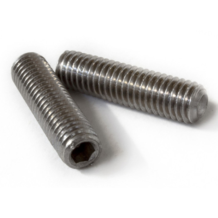 Винт установочный с внутренним шестигранником DIN 916 М8x6 А4